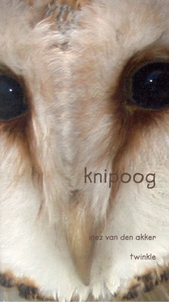 knipoog.jpg (45566 bytes)
